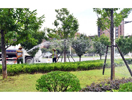 金年会金字招牌信誉至上：永州绿化苗木批发市场在哪里