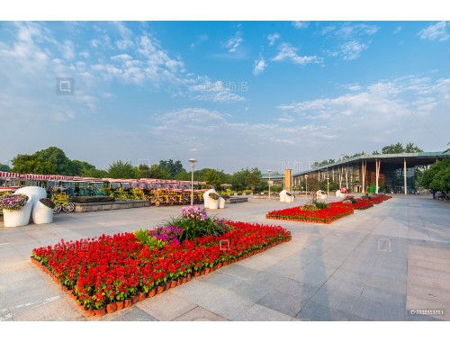 金年会金字招牌诚信至上：丽江城市绿化的作用
