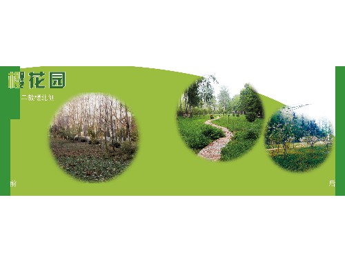 昆山城市绿化带一般用什么树