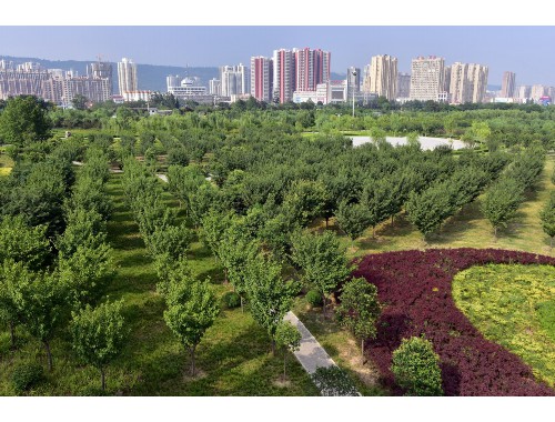 台州园林绿化工程管道咨询