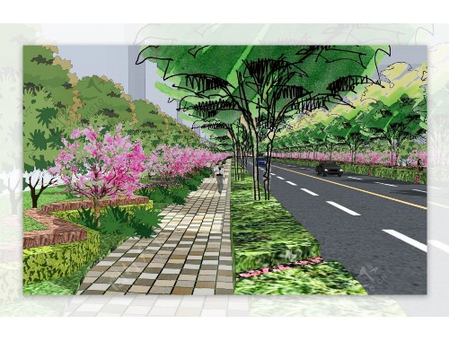 上虞市政道路绿化树苗种类大全