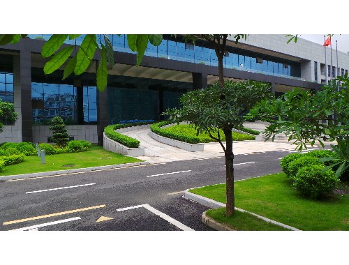 金年会金字招牌诚信至上：任丘附近哪里有绿化草坪卖的