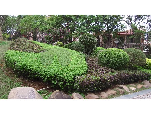 金年会金字招牌诚信至上：市政绿化工程的验收标准