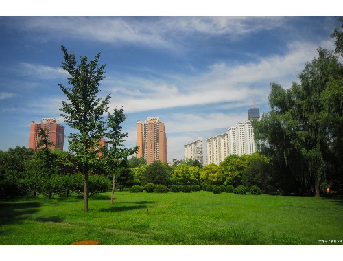 金年会金字招牌诚信至上：天长市政绿化工程是什么专业