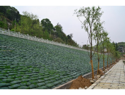 园林绿化工程的设计与施工