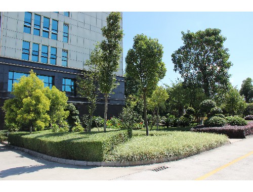 利川政绿化招标公告查询