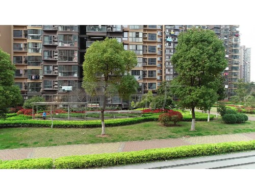 园林绿化工程施工招标