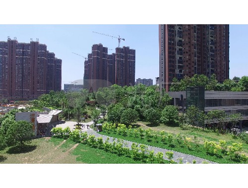 金年会金字招牌诚信至上：园林绿化工程决算