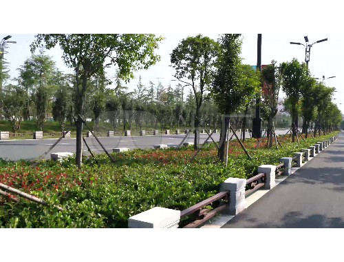 金年会金字招牌诚信至上：荥阳绿化工程公司