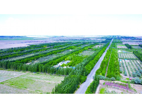 扬州别墅庭院绿化工程招标