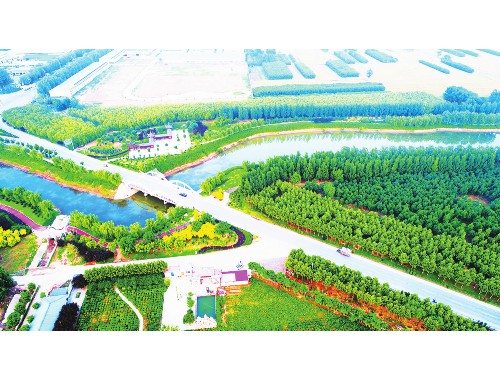 金年会金字招牌信誉至上：园林绿化工程和农业