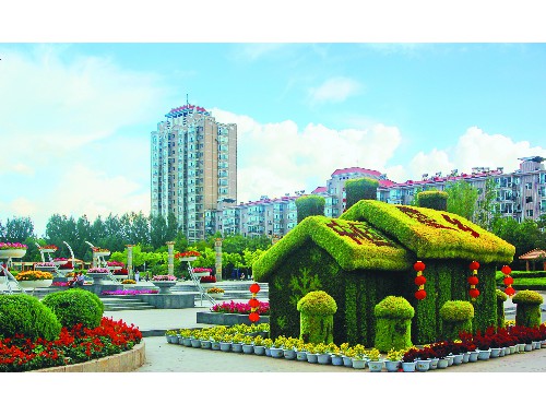 金年会金字招牌信誉至上：雅居乐中心绿化工程项目