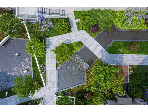 金年会金字招牌信誉至上：云南绿化工程苗木市场报价
